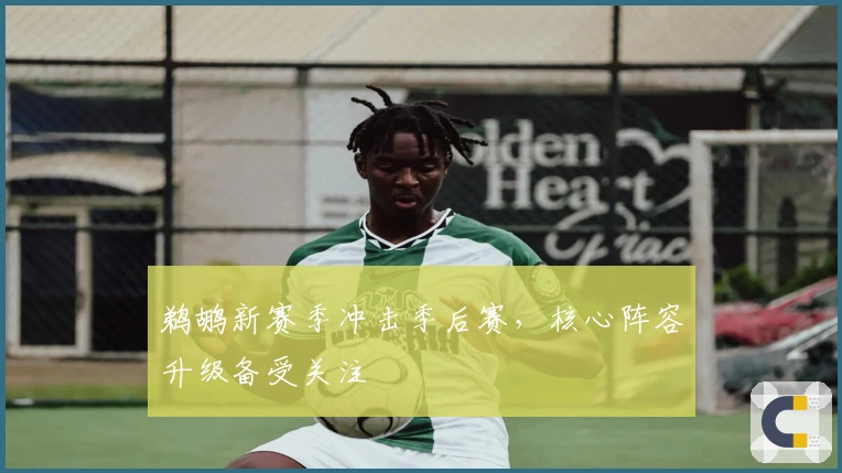 鹈鹕新赛季冲击季后赛，核心阵容升级备受关注