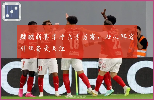 鹈鹕新赛季冲击季后赛,核心阵容升级备受关注